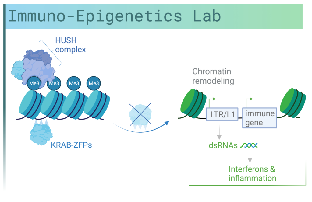 Imuno Epigentics Lab Slogan